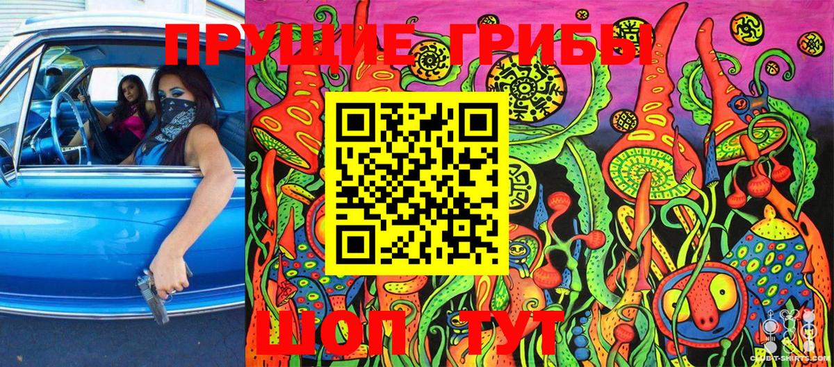 Псилоцибиновые грибы Cubensis Прокопьевск