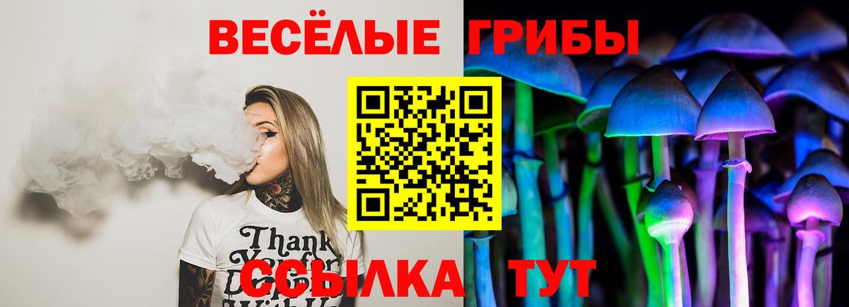 Галлюциногенные грибы Psilocybe  Вход с VPN  Прокопьевск 